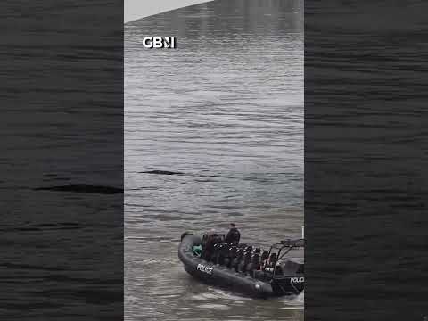 Abdul Ezedi: Police find body in River Thames in search for chemical attack suspect
