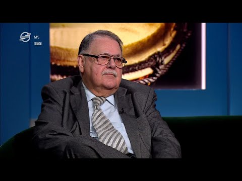 45 éves a népszerű rajzfilmfigura, Pom Pom