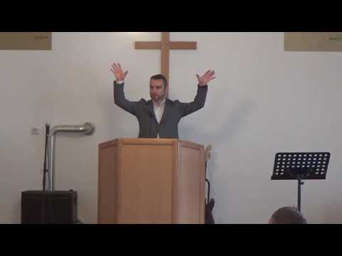 Prorok i lisica danas