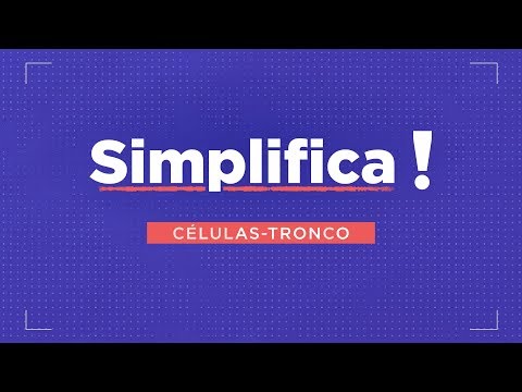 Simplifica! Células-tronco [Ep.02]