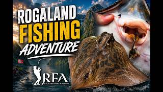 THORNBACK RAY FISHING NORWAY 🇳🇴 | MONSTER RAY IN BOKN ROGALAND | EPIC FJORD SEA FISHING ADVENTURE MQDEFAULT Thumbnail