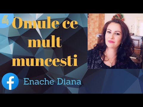 Diana Enache - Omule ce mult muncesti | oficial audio