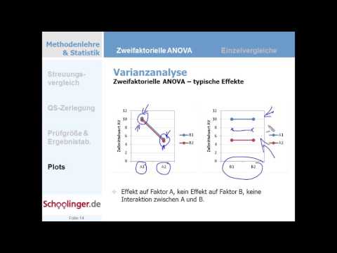 AN.002.16 Richtig sehen können I: Haupteffekte