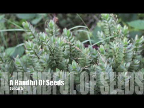 A Handful Of Seeds Channel Trailer.