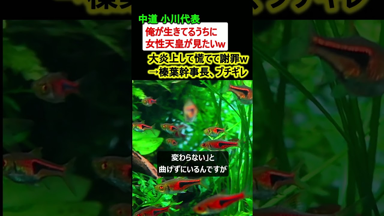 中道 小川代表、大炎上して謝罪w「俺が生きてるうちに女性天皇が見たいw」→榛葉幹事長、ブチギレ