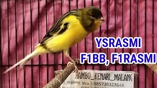 Download lagu SPESIAL HARGA PELAJAR F1BB, F1RASMI, GACORAN YSRASMI, BETINA SIAPAN RASMI mp3 Download lagu SPESIAL HARGA PELAJAR F1BB, F1RASMI, GACORAN YSRASMI, BETINA SIAPAN RASMI mp3