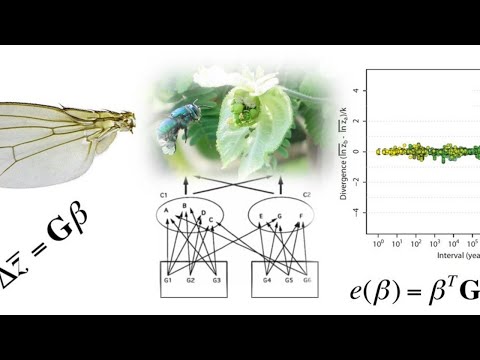 Johannes Jaeger: Dynamical modules and morphogenetic fields in development and evolution