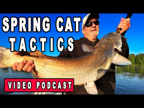Tactics for Catching Spring Catfish