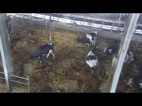 Hemme Milch Uckermark Farm