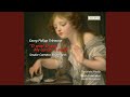 Overture (Suite) in B-Flat Major, TWV 55:B8, "Ouverture burlesque": IV. Colombine. Con Grave