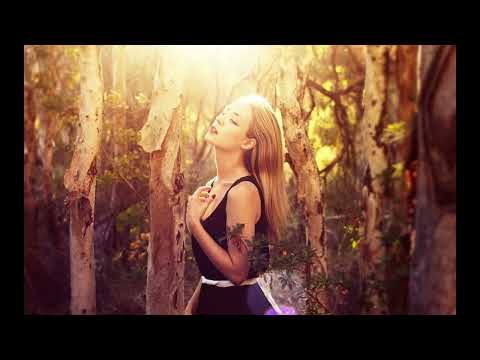 Honan feat  Susie Ledge -  I Won't Give Up On You