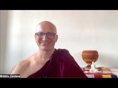 Week 114 - Poṭṭhapāda Sutta (Part 2), "Discourse to Poṭṭhapāda" (DN 9).