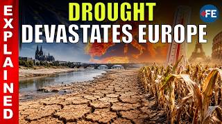 Europe's Drought Crisis: Rivers Disappear, Crops Die As Heatwave Grips Continent | World News