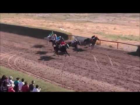 Ganador Prosperina Pan-carrera 3