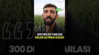 300 Dekar Tarlası Sular Altında Kaldı!  #köy #tarım #çiftçi