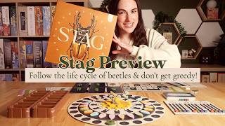 Stag Preview! | Follow the life cycle of beetles, but don't get greedy!