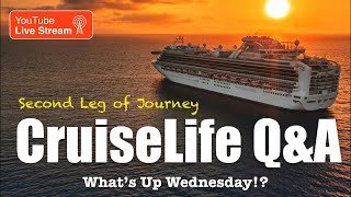 SUN PRINCESS Cruise Ship Discussion - What’s Up Wednesday?!