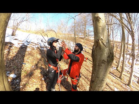 YouTube - Avenul nr.1 de la Prunii lui Miclea