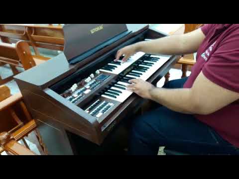 Órgão Eletrônico Tokai MD-20 True Drawbars - Jardim Brasília / Mauá SP - Loja Teclasom