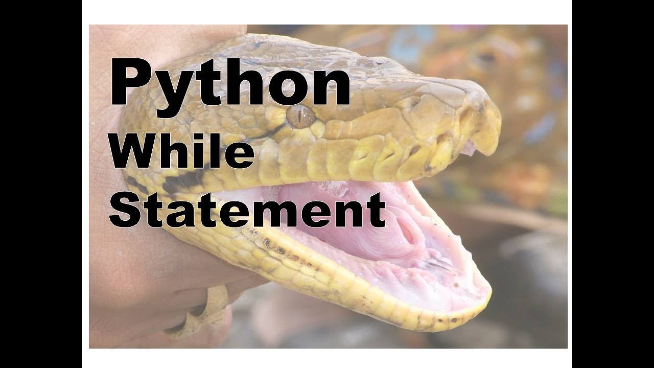 150-Python While Loop Examples