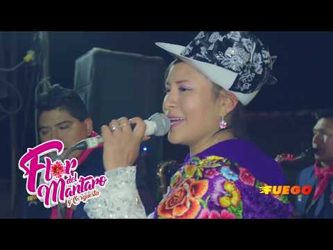 Flor Del mantaro en vivo 2018 - Fuego Producciones