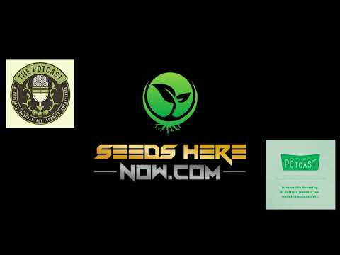 Episode 39 ft James Bean of Seeds Here Now v2 - 07/09/19