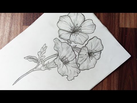 How to draw flowers easy step by step for beginners || flower drawing