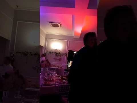 Atmosfera super la nunta #romania #nunta#banat2023