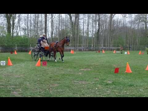 Fahrturnier Heek 8.4.2017