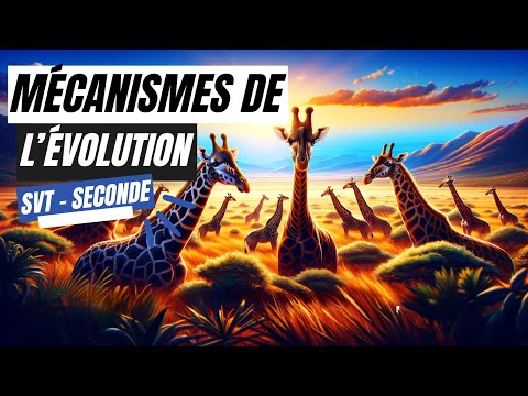 Mécanismes de l'évolution - SVT seconde