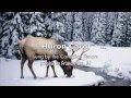 Huron Carol