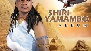 Download lagu Andy Muridzo - Zenze (Shiri Yamambo Album) August 2019 mp3