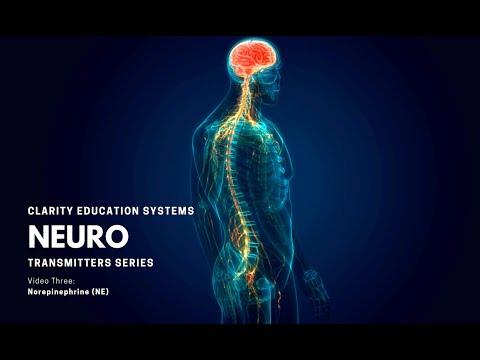 Neurotransmitters: Norepinephrine