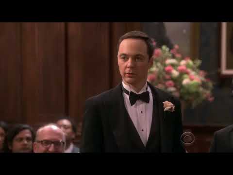 The Big Bang Theory 11x24 Finale - Sheldon Surprises to See Mark Hamill