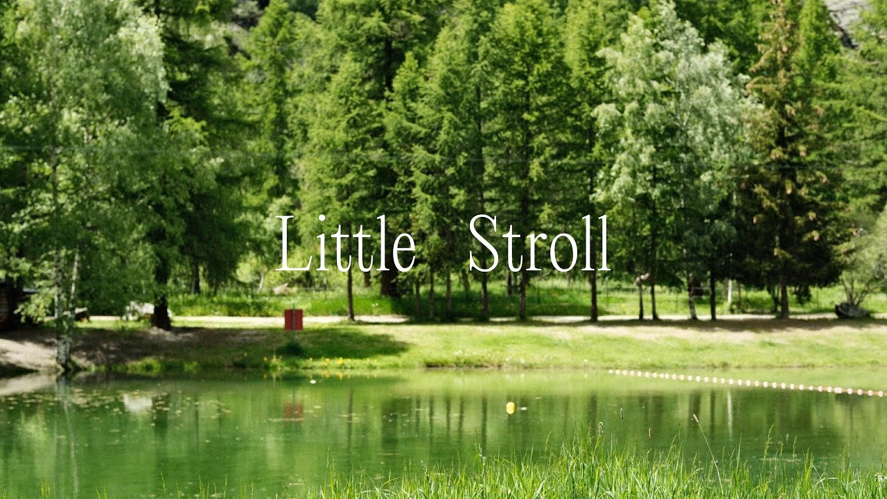 Embark on a virtual stroll around Schalisee.