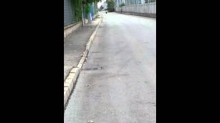 preview picture of video 'ale che guida lo scooter nuovo'