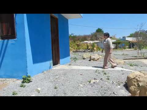 Fazenda de Gel Caetite Ba.