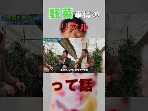 臨床検査学科 美味しい野菜を消費者に届けるために。 #健康 #栄養 #栄養コンシェルジュ #栄養学 #野菜 #野菜は最強のインベストメントである　#ナナチャン #フィトケミカル