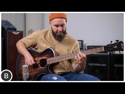 BEAUTIFUL IBANEZ ACOUSTIC BASS !!