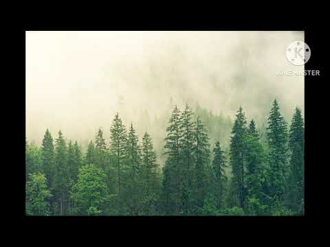 Iartă-mi Domne Negativ Original 2024