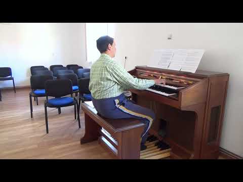 Strait And Narrow Is The Gateway - Organist Bujor Florin Lucian playing on the Yamaha Electone E-30