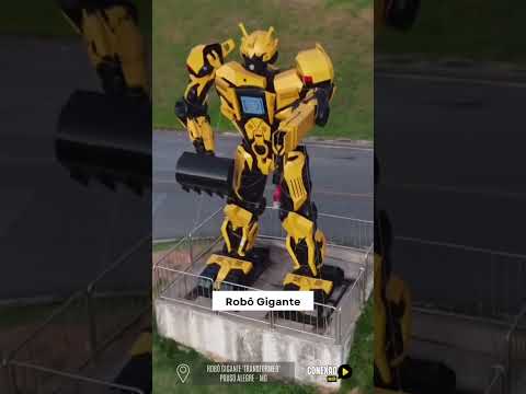 Conheça 5 estátuas em Pouso Alegre