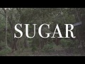Sugar - The Coconut Kids