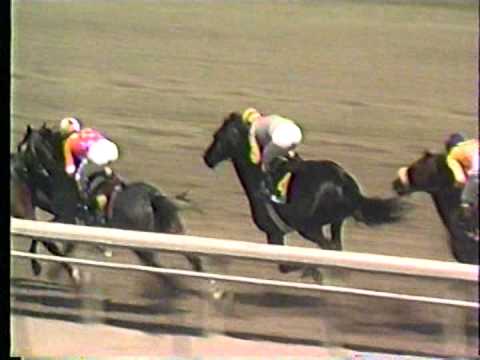 1989 Santa Anita Derby post-race Sunday Silence