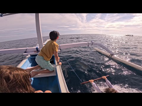 Swimming with Dolphins in Bali