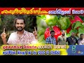 Nadagamkarayo මාලන්ගේ Scotch Bonnet Nayimiris නයි මිරිස් වගා�