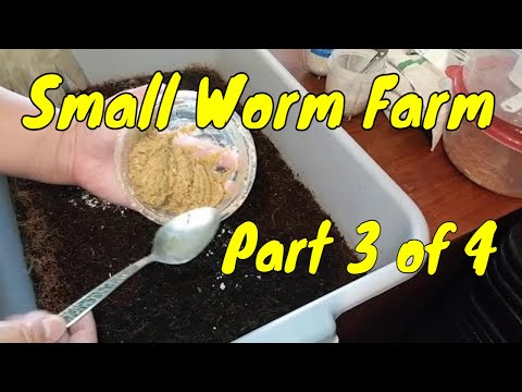 Why This Tiny Worm Farm Makes Money Hand Over Fist