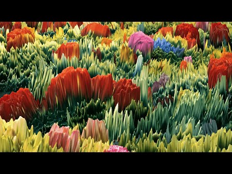 XINK - Op Hoop Van Zegen (lyric video)