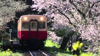 Yumi Matsutoya - Haru yo koi