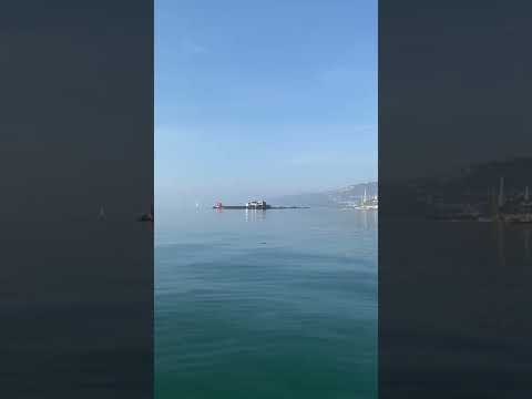 発見: クラゲが水を吸いながら進む